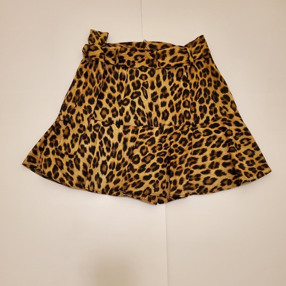 Skirt/shorts- Zara - Picture 1 of 8